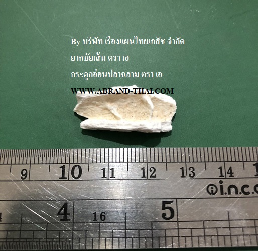 ฟอสซิลกระดูกไดโนเสาร์