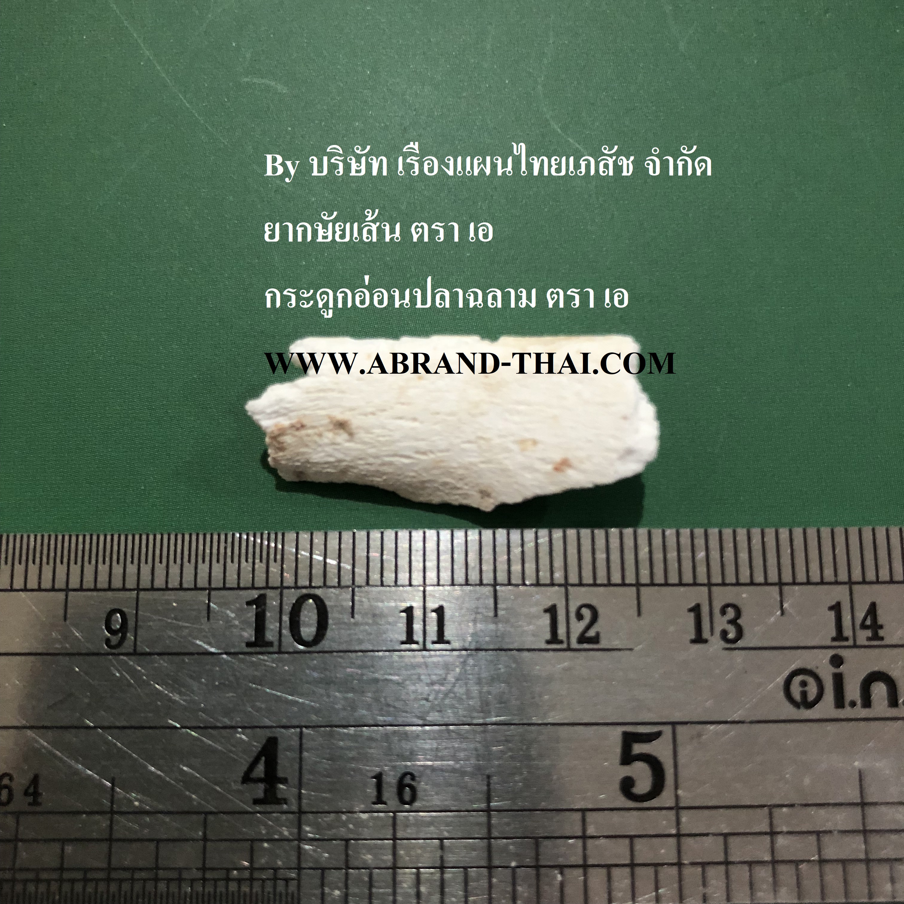 ฟอสซิลกระดูกไดโนเสาร์